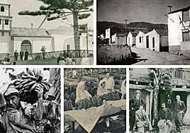 Costumbrismo en Canarias a finales del XIX (V)