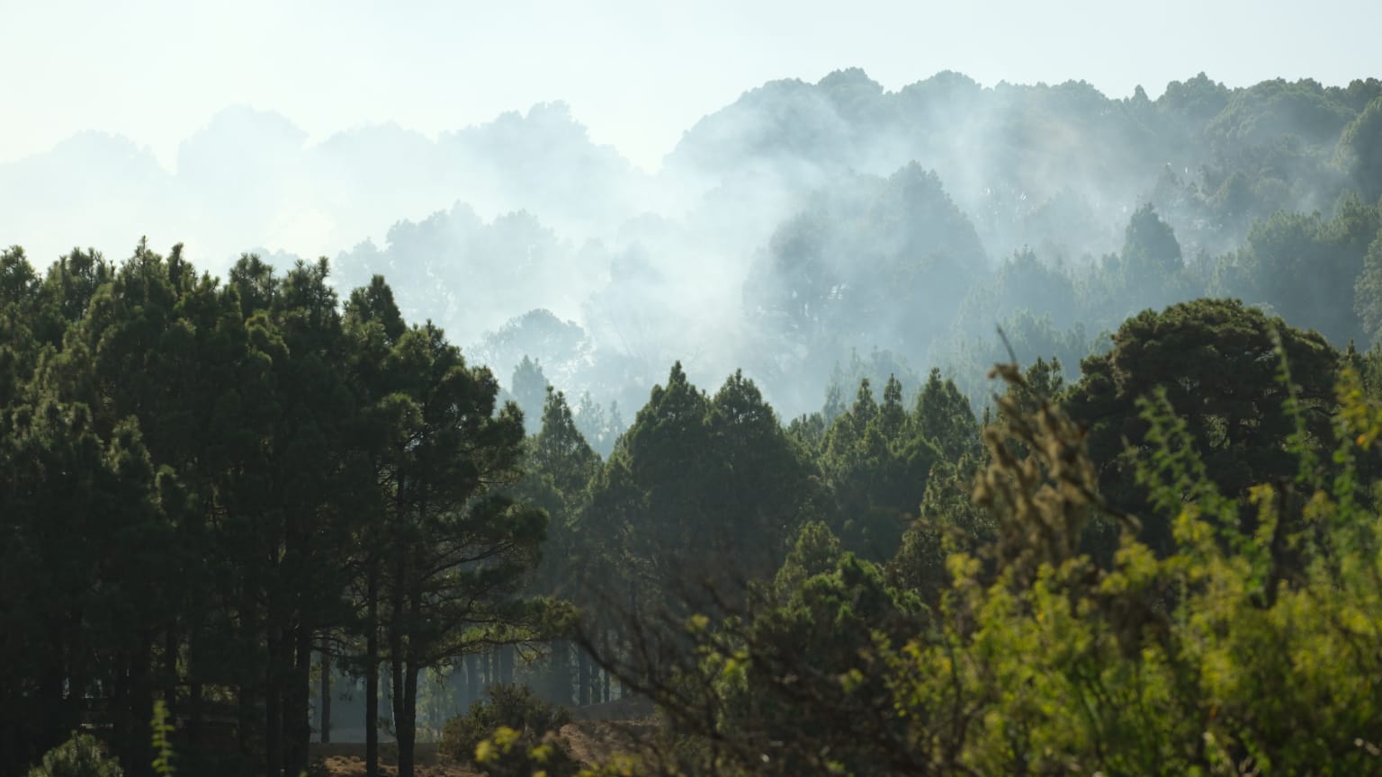 Las imágenes del incendio en El Hierro