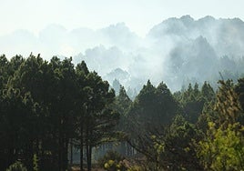Humo del conato de incendio registrado ayer en El Hierro.