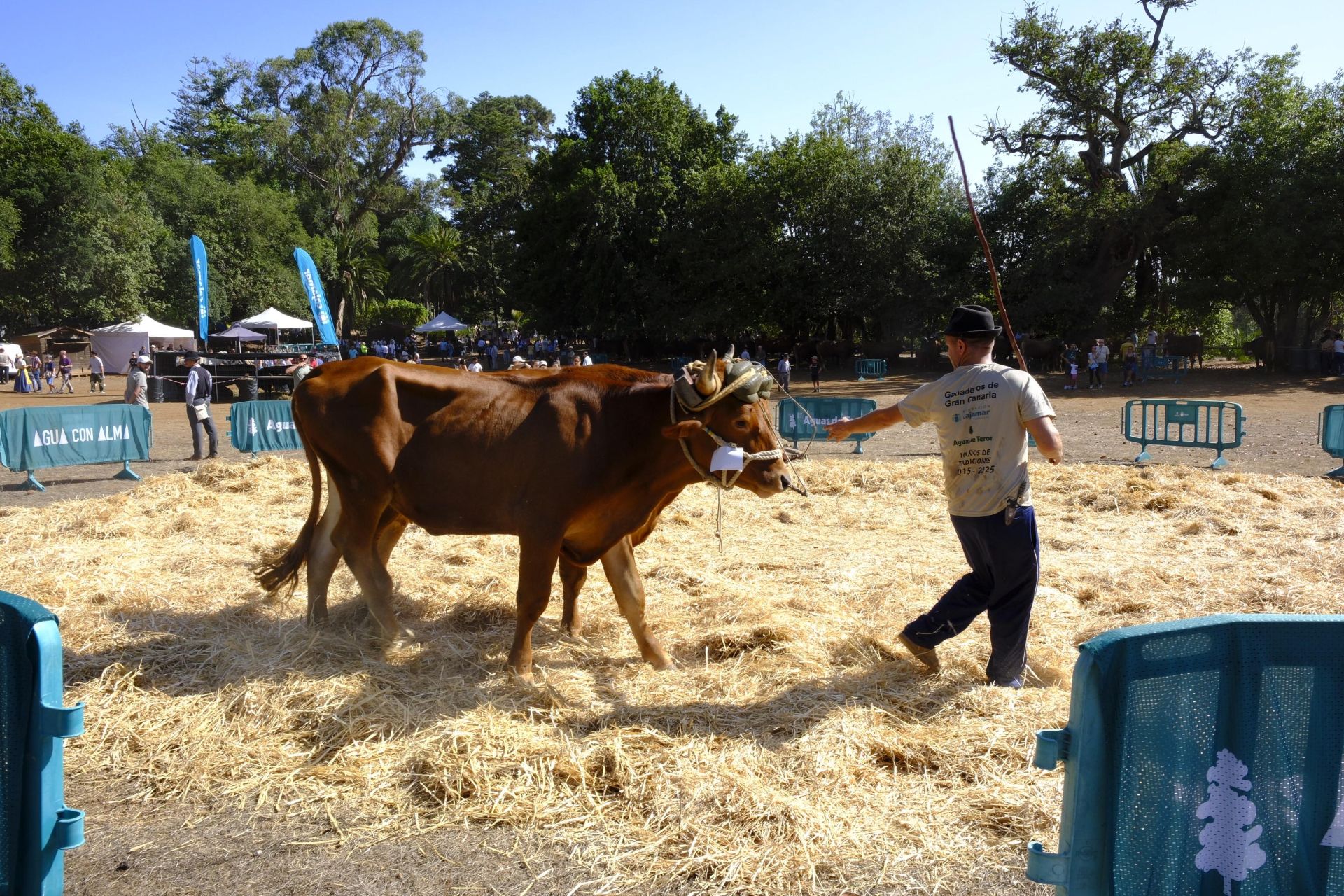 Uno de los ejemplares que se presentaron a la feria este domingo.