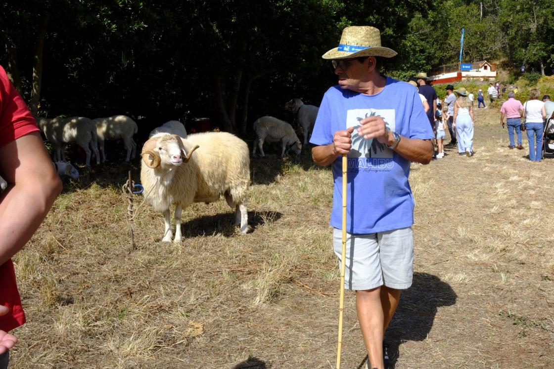Más de 300 animales y cientos de visitantes celebran el mundo ganadero en Teror