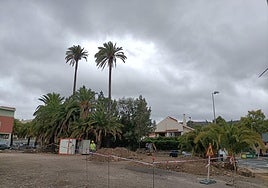 Vista de los trabajos de construcción de la rotonda de El Palmeral de Santa Brígida.