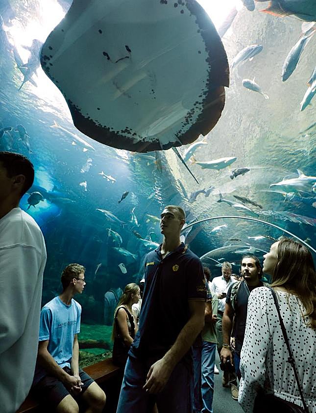 Imagen secundaria 2 - Samar aprovechó su presentación para realizar un recorrido por las instalaciones del Acuario Poema del Mar.