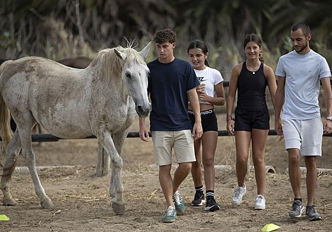 Becados de SPAR Gran Canaria en una experiencia con caballos.
