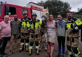 Imagen del caballo rescatado.