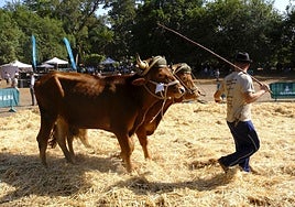 La Feria de Ganado brilla con fuerza