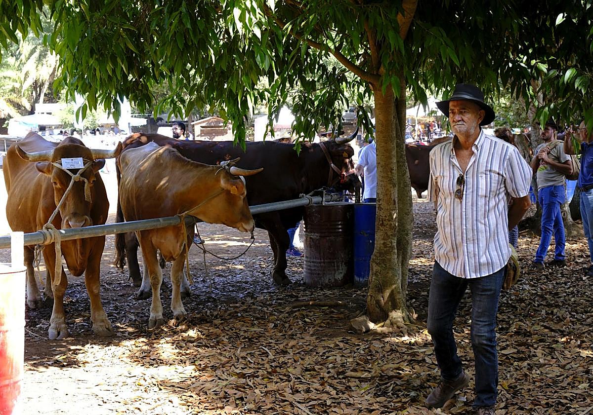 Imagen principal - La Feria de Ganado brilla con fuerza
