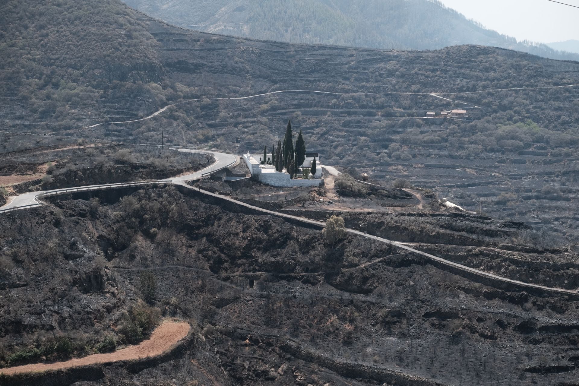 Imagen de archivo de los incendios de 2019 en Gran Canaria.