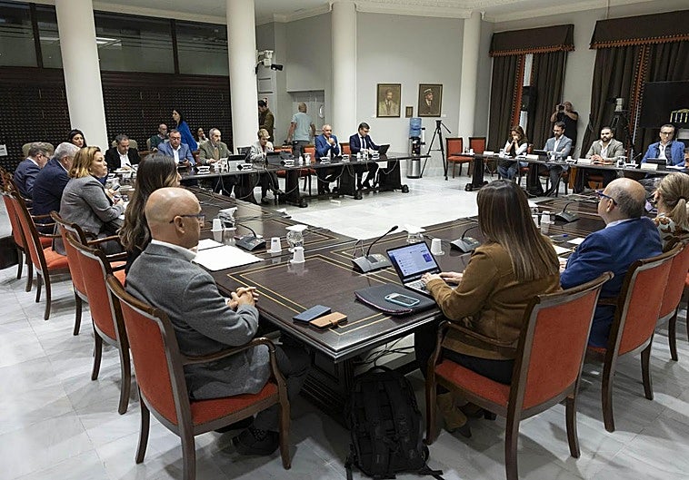Imagen de la sesión de la Comisión General de Cabildos celebrada el pasado mes de febrero.