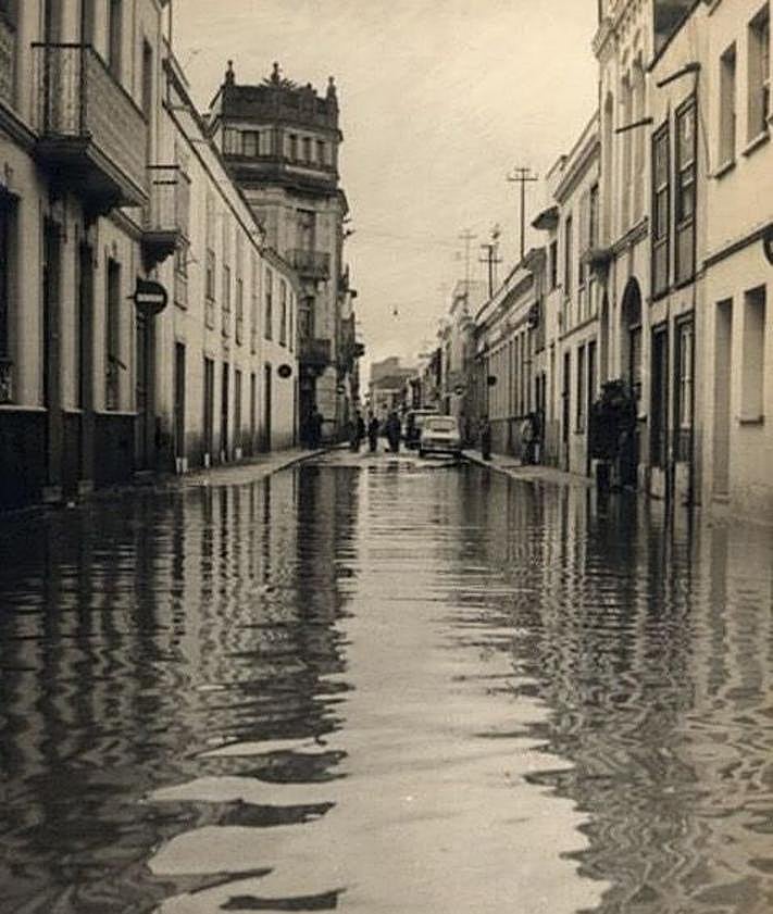 Imagen secundaria 2 - A las afueras de La Laguna, El municipio de La Laguna y El centro de La Laguna 