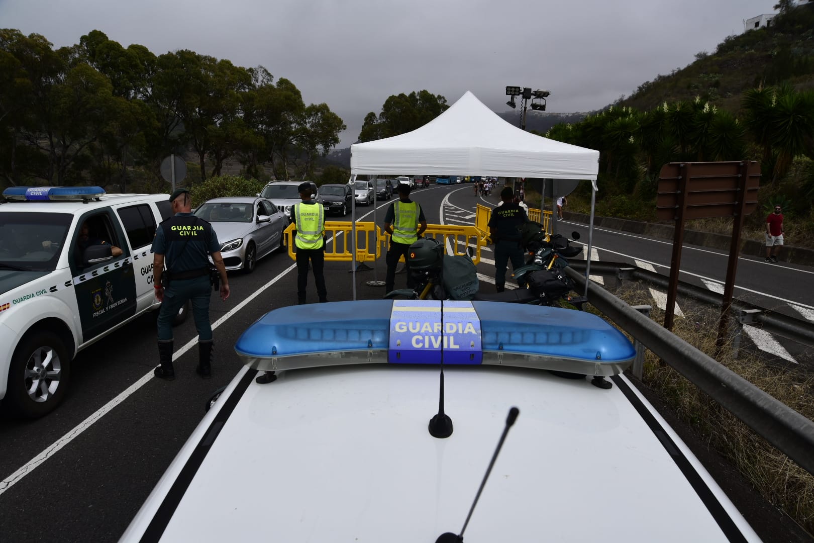 La romería de la Virgen del Pino, en imágenes