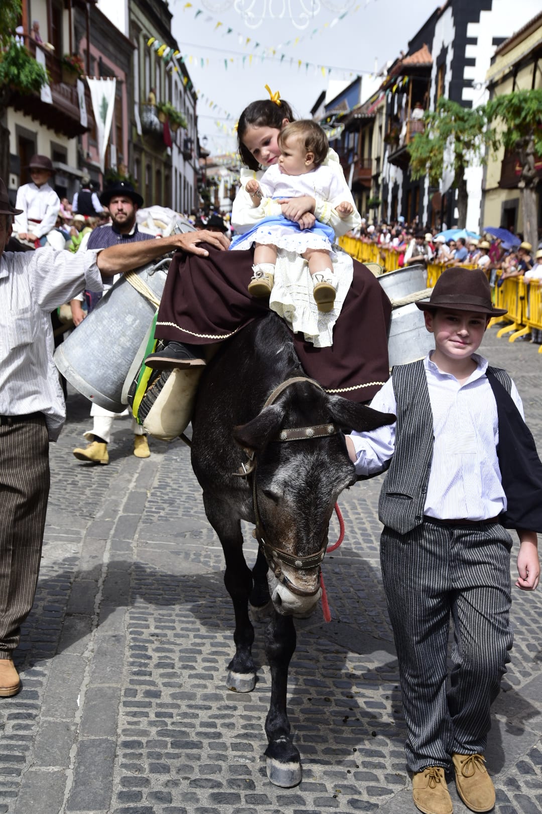La romería de la Virgen del Pino, en imágenes