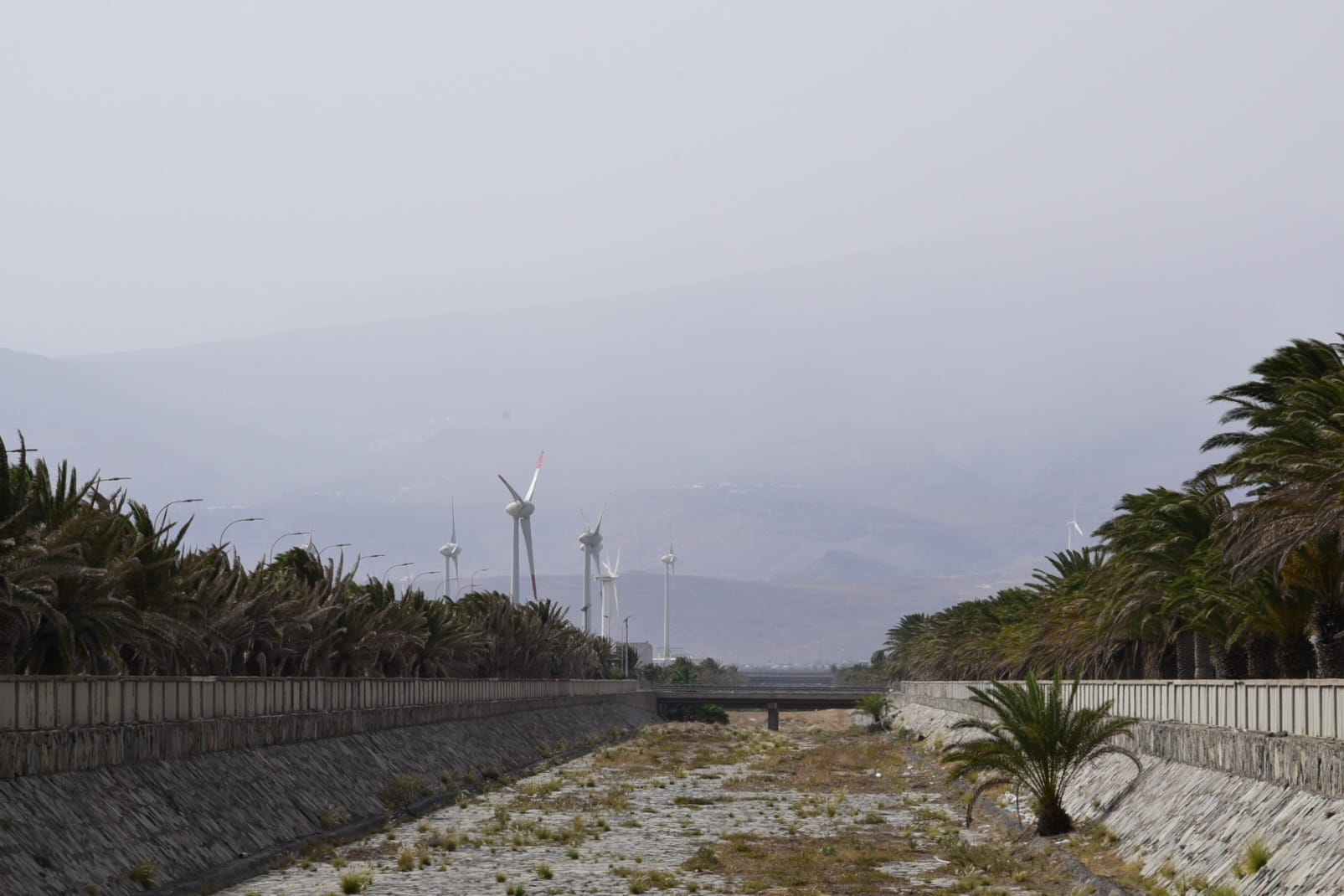 Imagen de una jornada de calima.