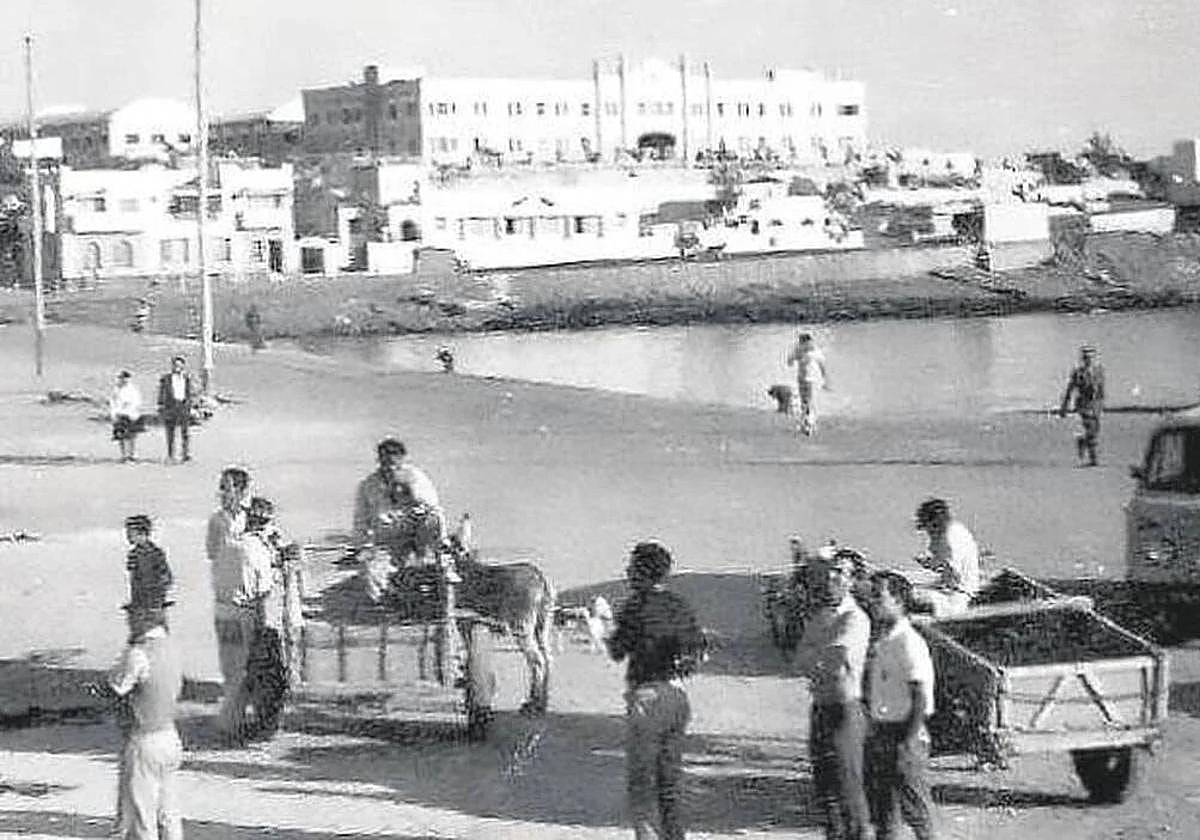 Vista de la capital de cuanto era considerada Puerto Cabras.