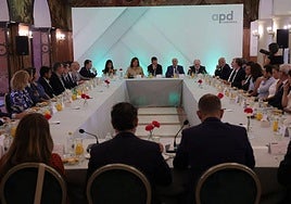 Encuentro organizado por la APD Canarias.