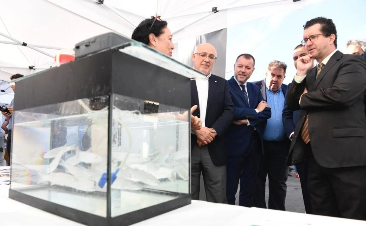 Primera edición de la Feria Regional de Economía Circular.