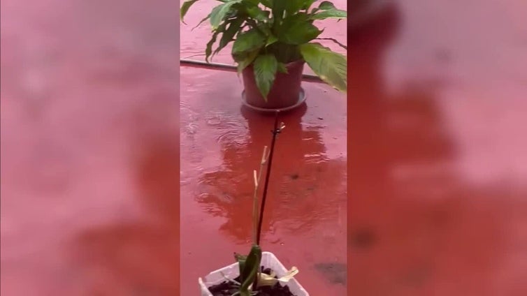 El granizo sorprende a Fontanales