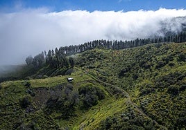 Imagen reciente de la Cumbre de Gran Canaria.