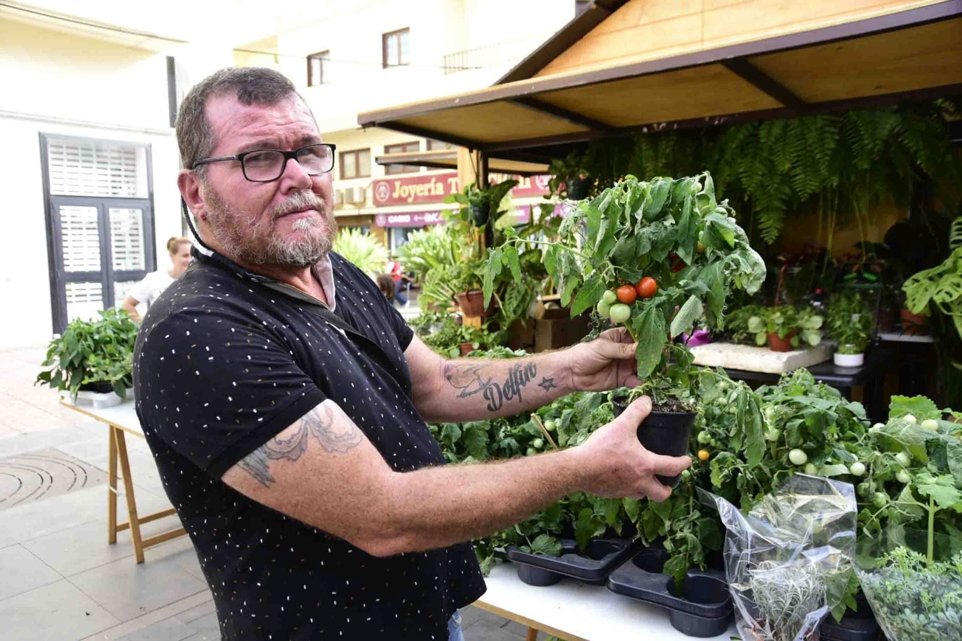 Calor y mucho sabor en la feria del tomate en Santa Lucía en Tirajana