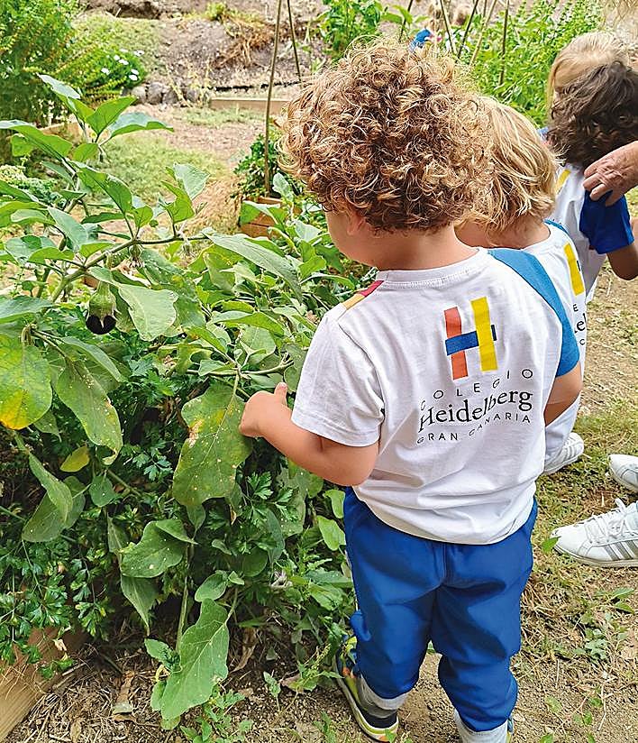 Imagen secundaria 2 - Colegio Heidelberg, una nueva era