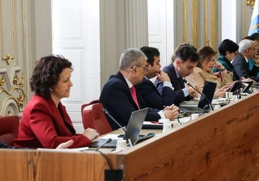 A Vox le sale cara la pérdida de una concejala: recibirá menos dinero y pierde margen político