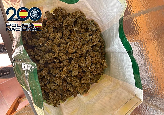 Imagen de la bolsa con cogollos incautada por las autoridades.