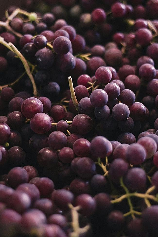 Uvas