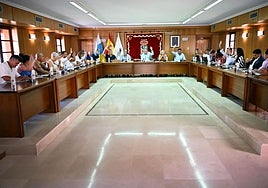 Un momento de la sesión plenaria de este jueves.