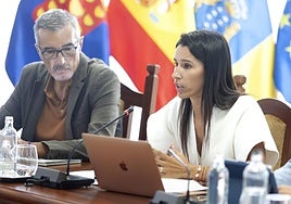 Momento del pleno en el Cabildo de este viernes.