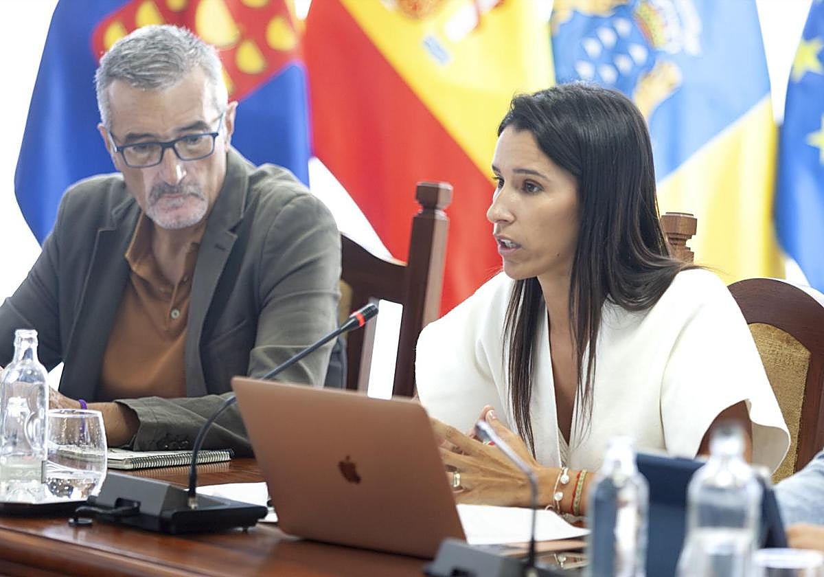 Momento del pleno en el Cabildo de este viernes.