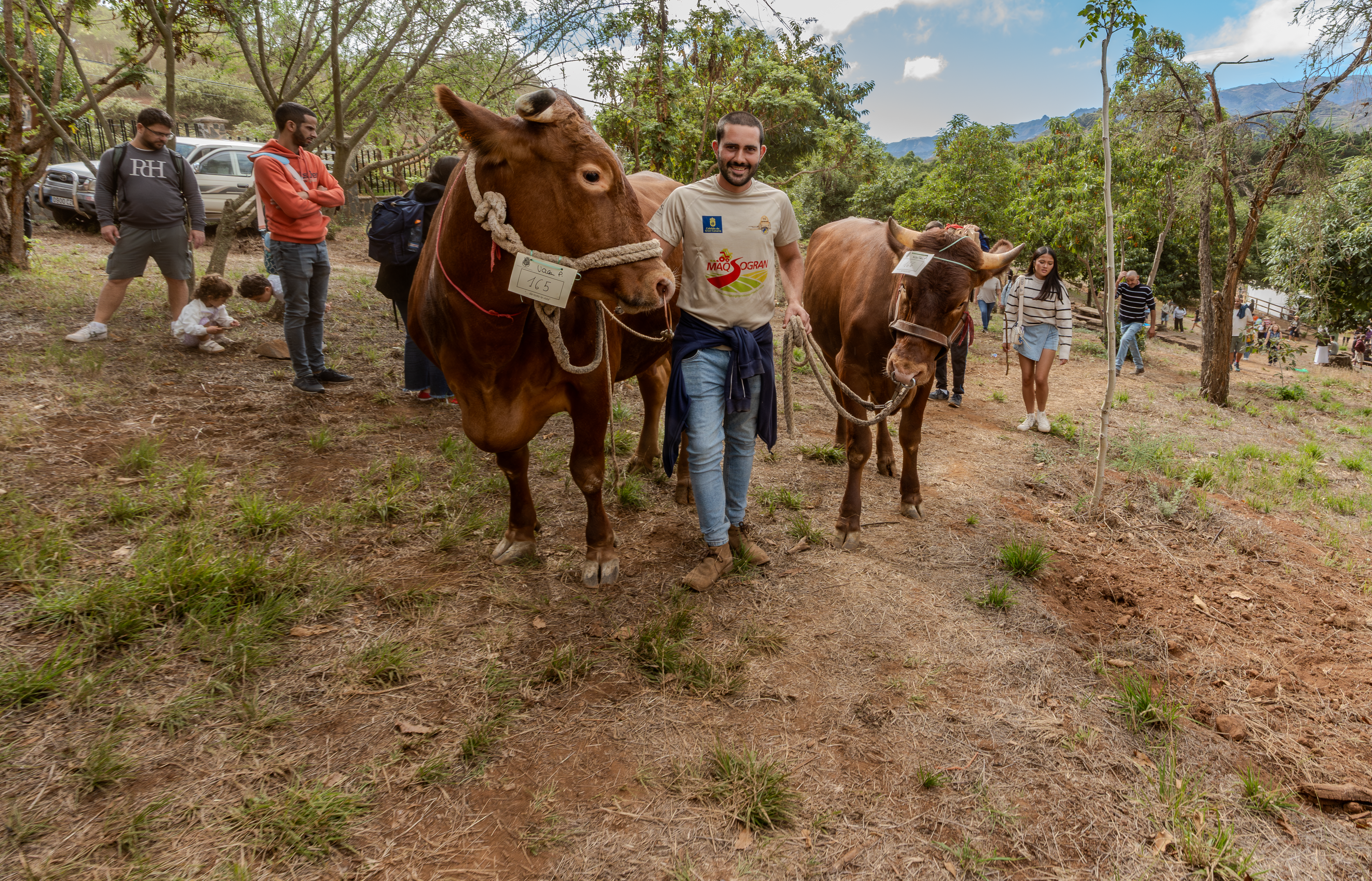 Valleseco se convierte en epicentro del mundo rural con una feria multitudinaria