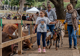 Valleseco se convierte en epicentro del mundo rural con una feria multitudinaria