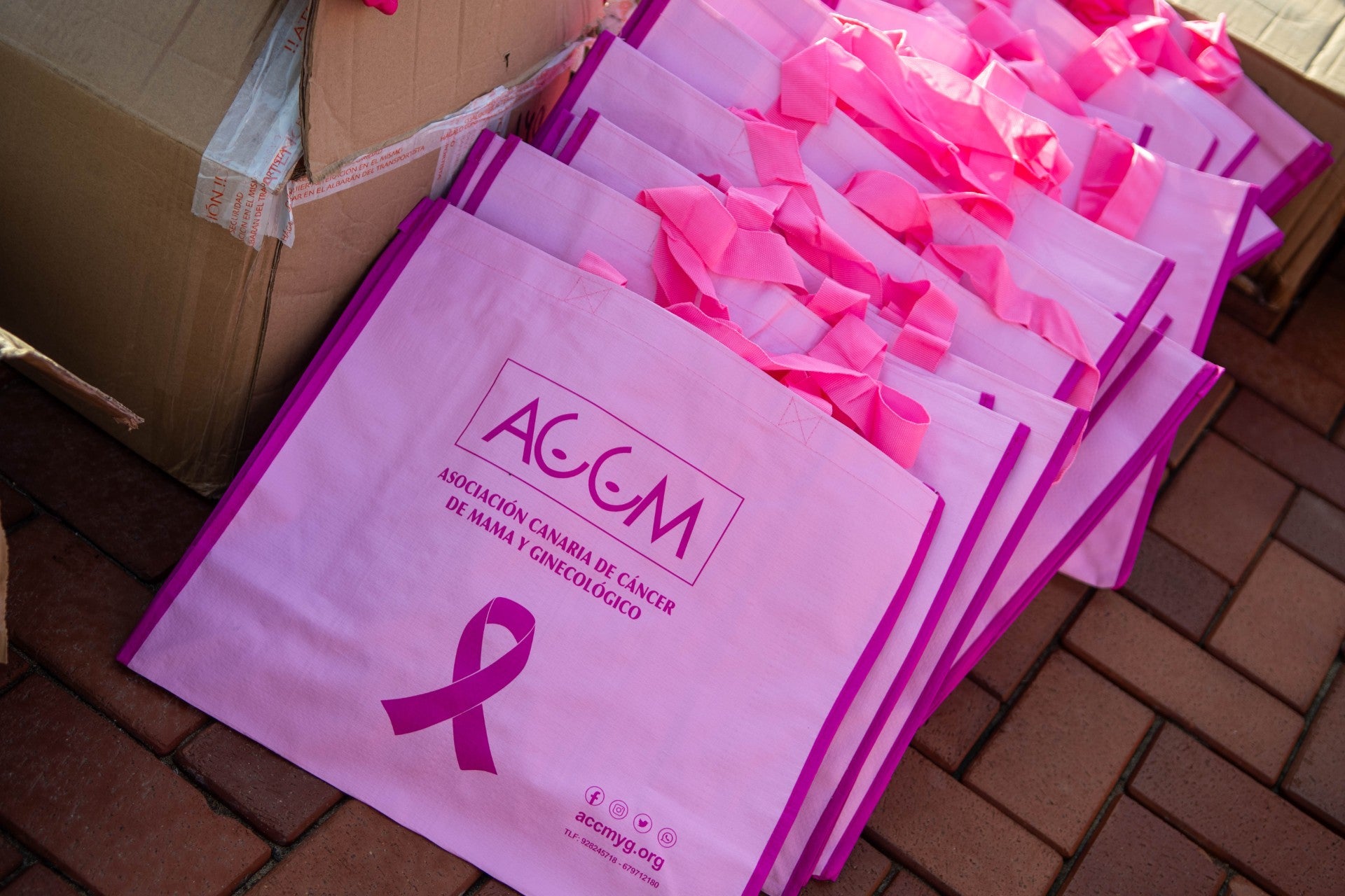 Marea rosa por el cáncer de mama