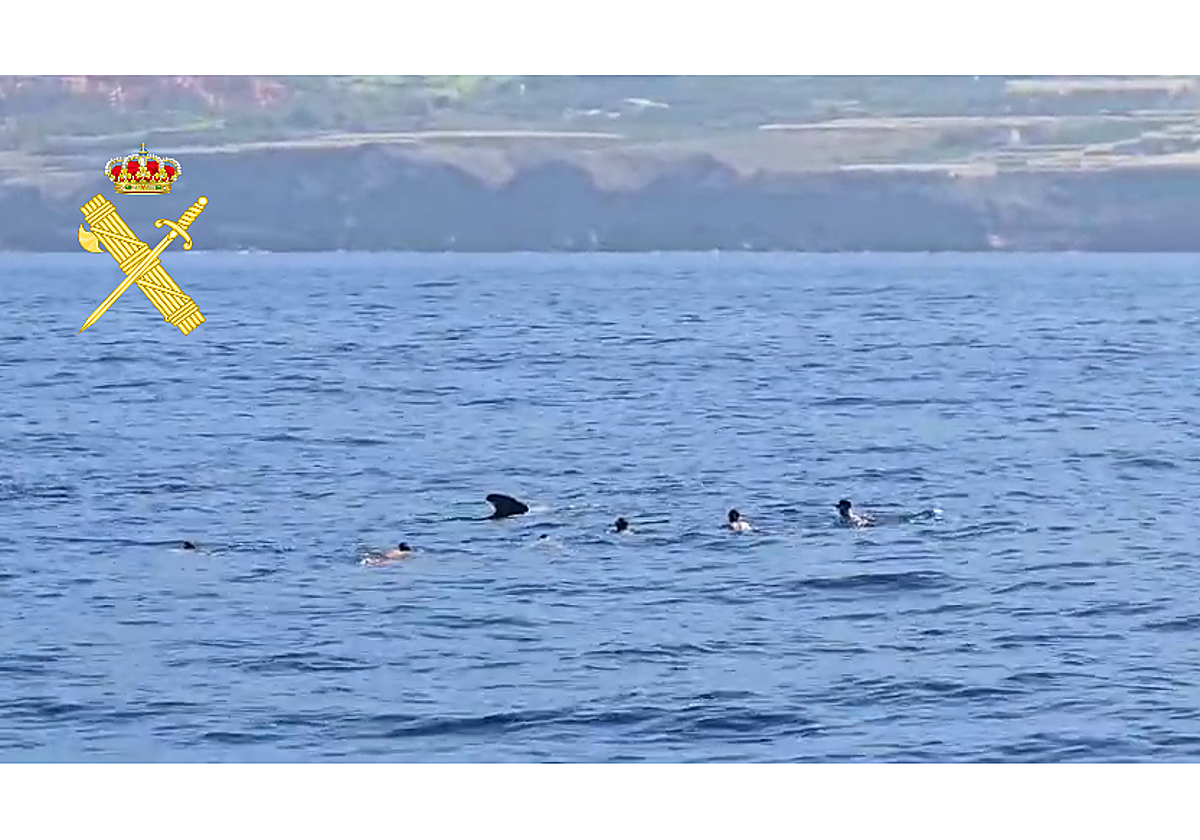 Imagen de los turistas bañándose con un grupo de cetáceos.