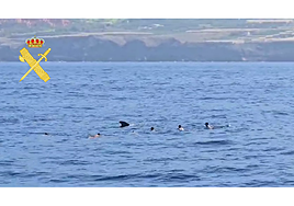 Imagen de los turistas bañándose con un grupo de cetáceos.