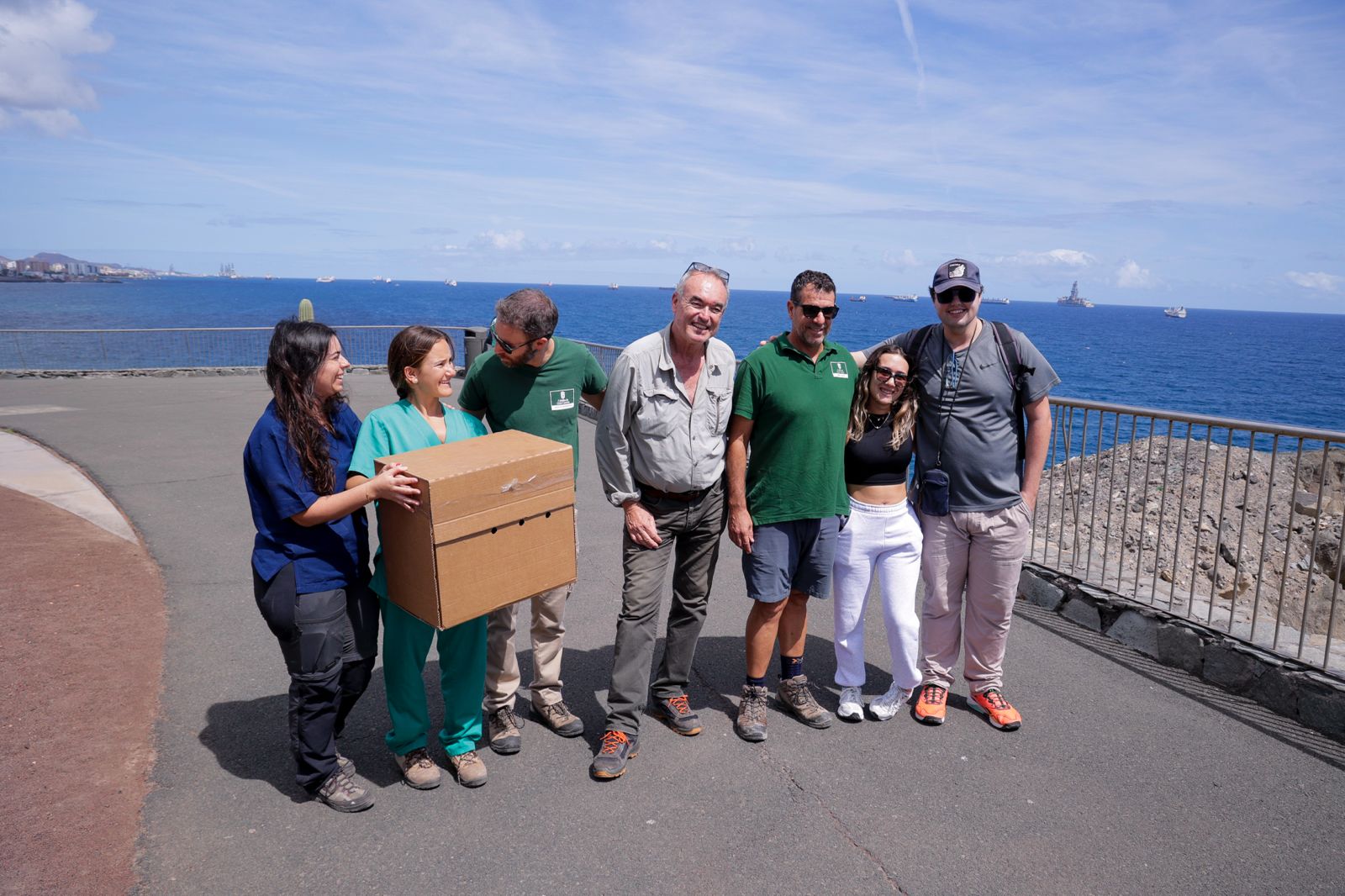 El alcatraz que resucitó a base de papillas