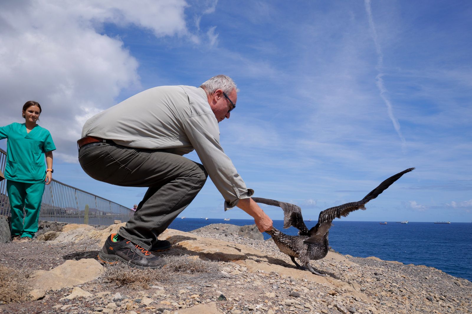 El alcatraz que resucitó a base de papillas