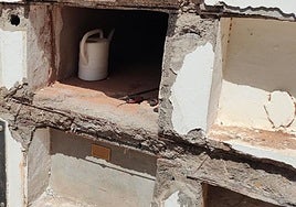 Nichos en fase de mejora.