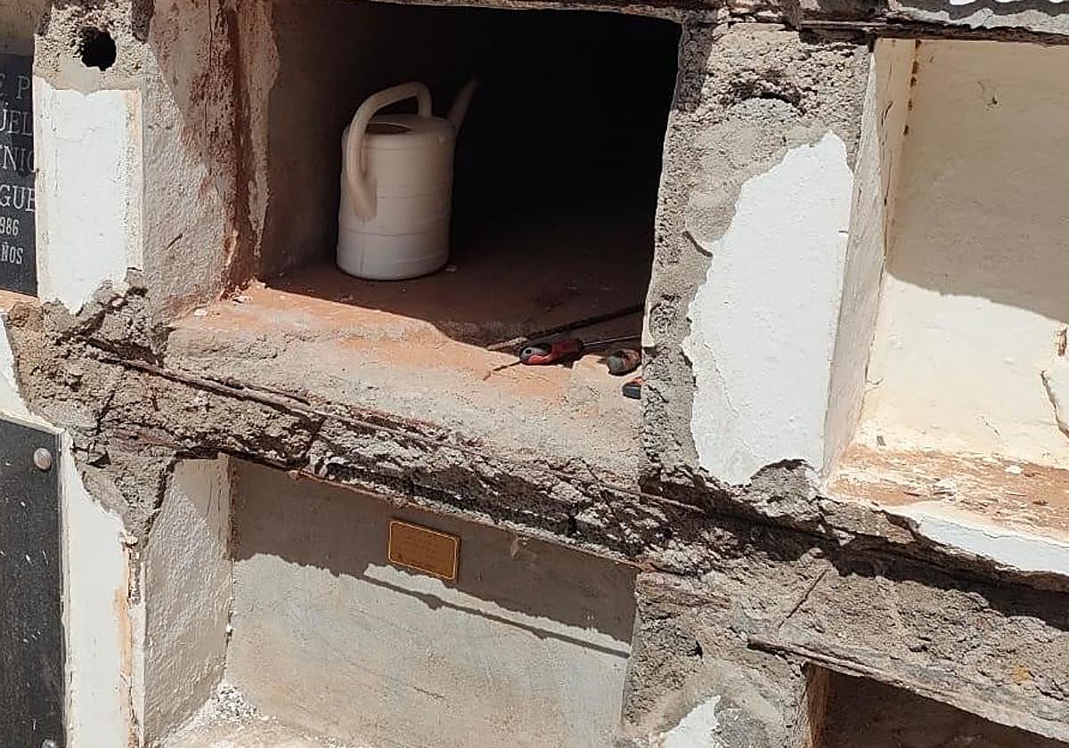 Nichos en fase de mejora.