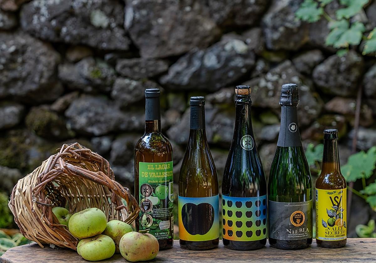 Distintas variedades de sidra de Valleseco que obtuvieron premios en el XV Salón Internacional de les Sidres