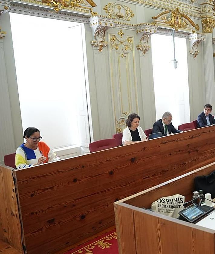 Imagen secundaria 2 - Clotilde Sánchez y cargos de Vox durante el pleno extraordinario de este viernes