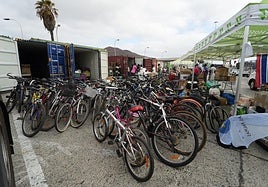La recogida de bicis para Gambia, en imágenes