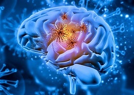 Tu microbiota tiene la palabra