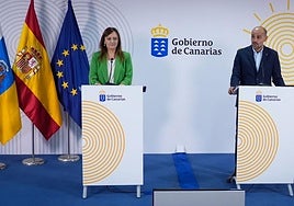 La consejera Nieves Lady Barreto con el portavoz del Gobierno canario, Alfonso Cabello.