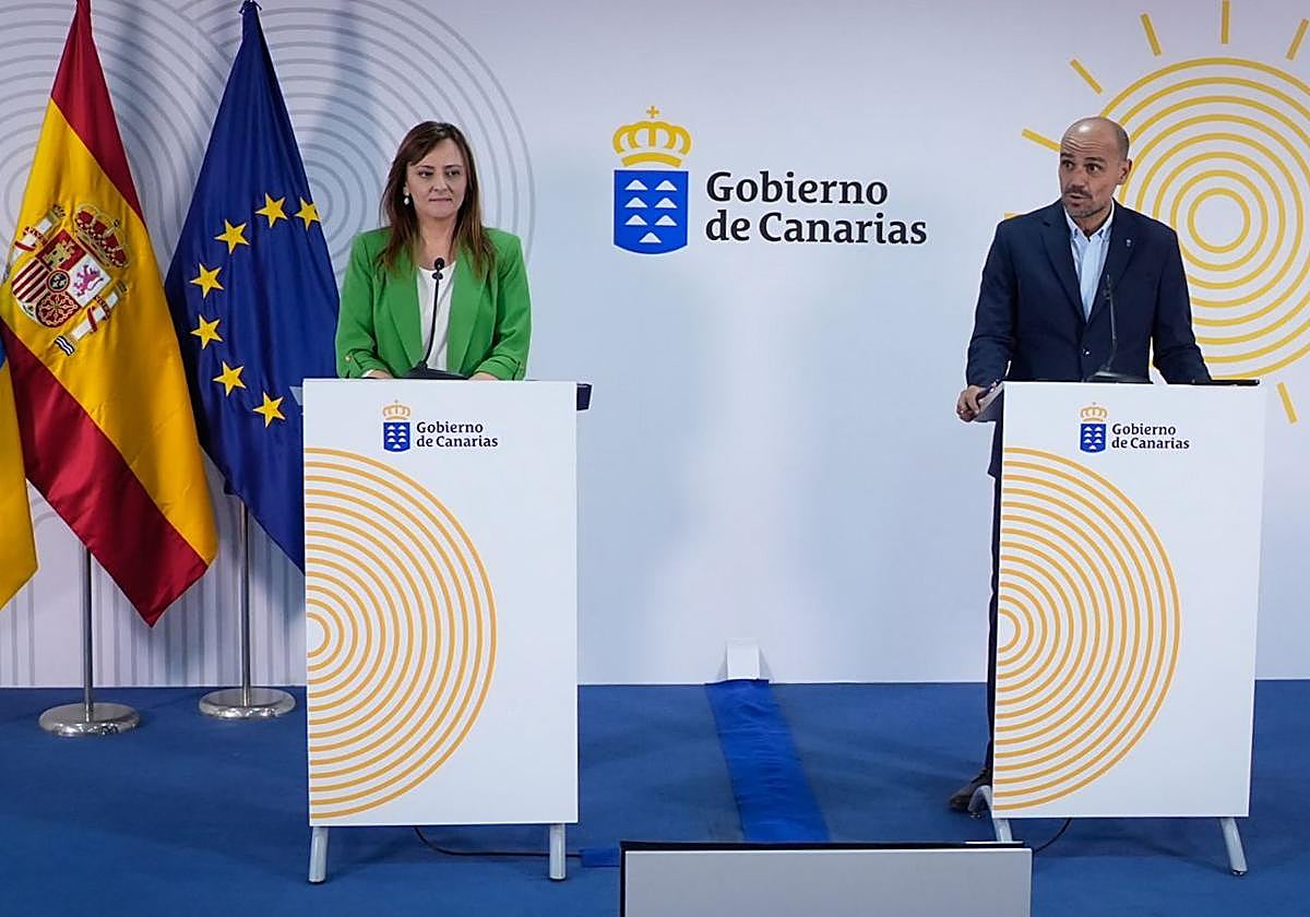 La consejera Nieves Lady Barreto con el portavoz del Gobierno canario, Alfonso Cabello.