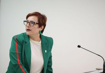 Canarias exige más medios al Estado para que los menores salgan en 15 días