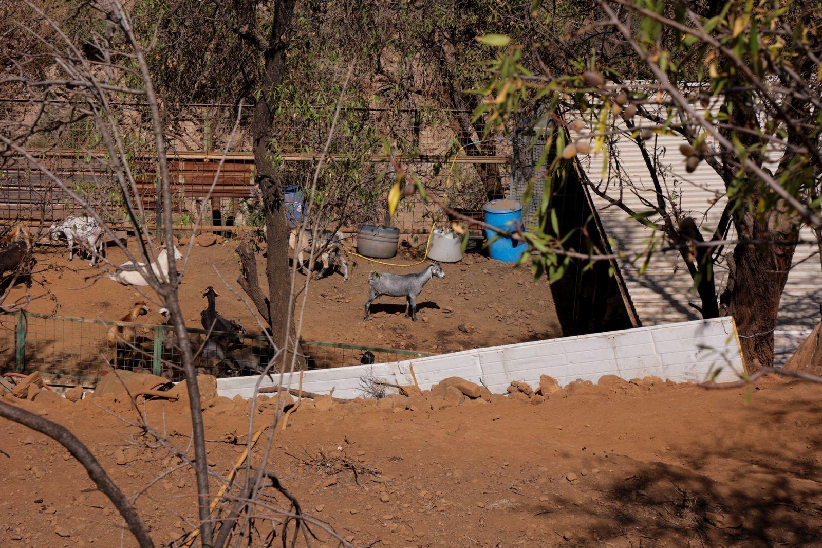 Idaira Hernández reivindica la importancia que tiene la figura de la mujer en el sector primario