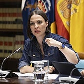 Migdalia Machín, en una comisión parlamentaria reciente.