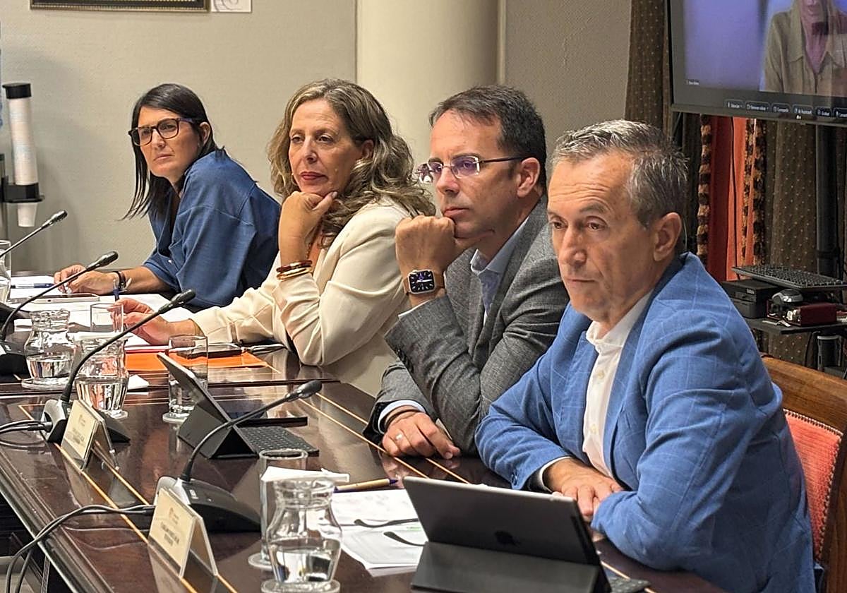 Los municipios turísticos presentan su propuesta de Ley ante la Comisión General de Cabildos Insulares