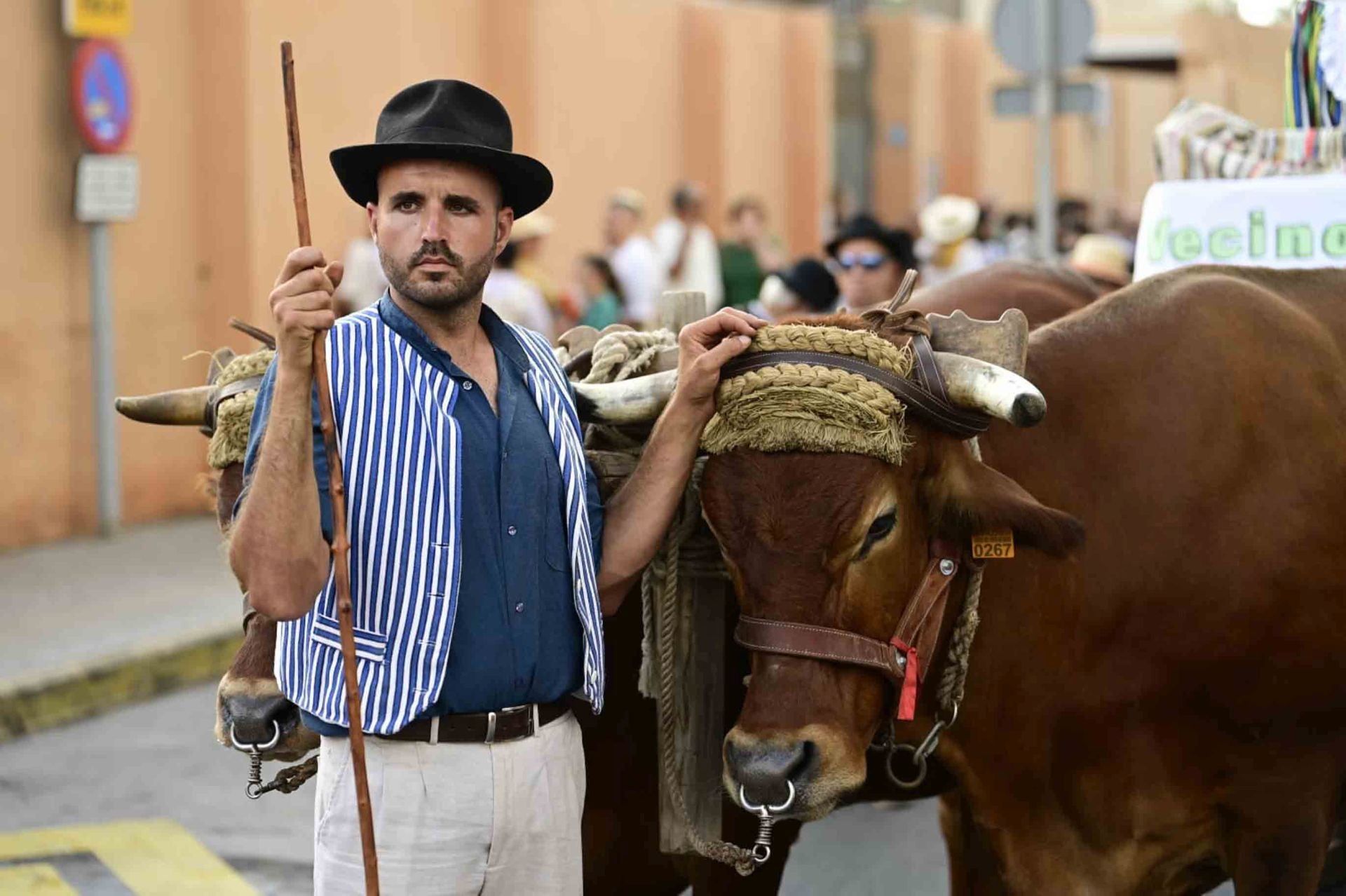 Guanarteme se viste de romería llena de color y tradición